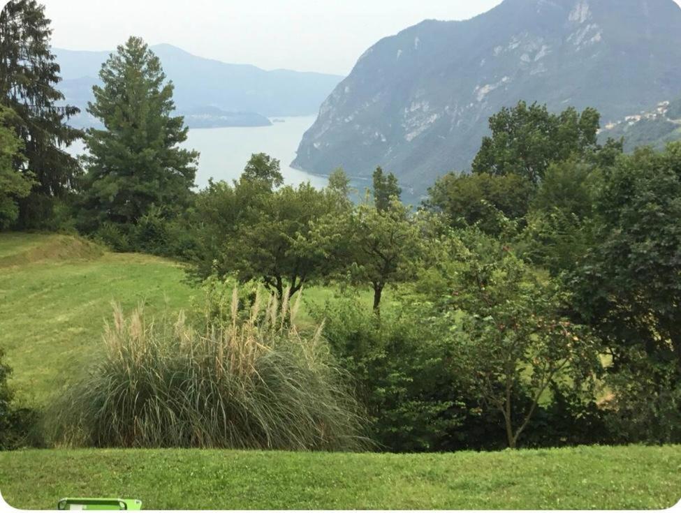 Solto Collina Little Paradise - Iseo Lake מראה חיצוני תמונה